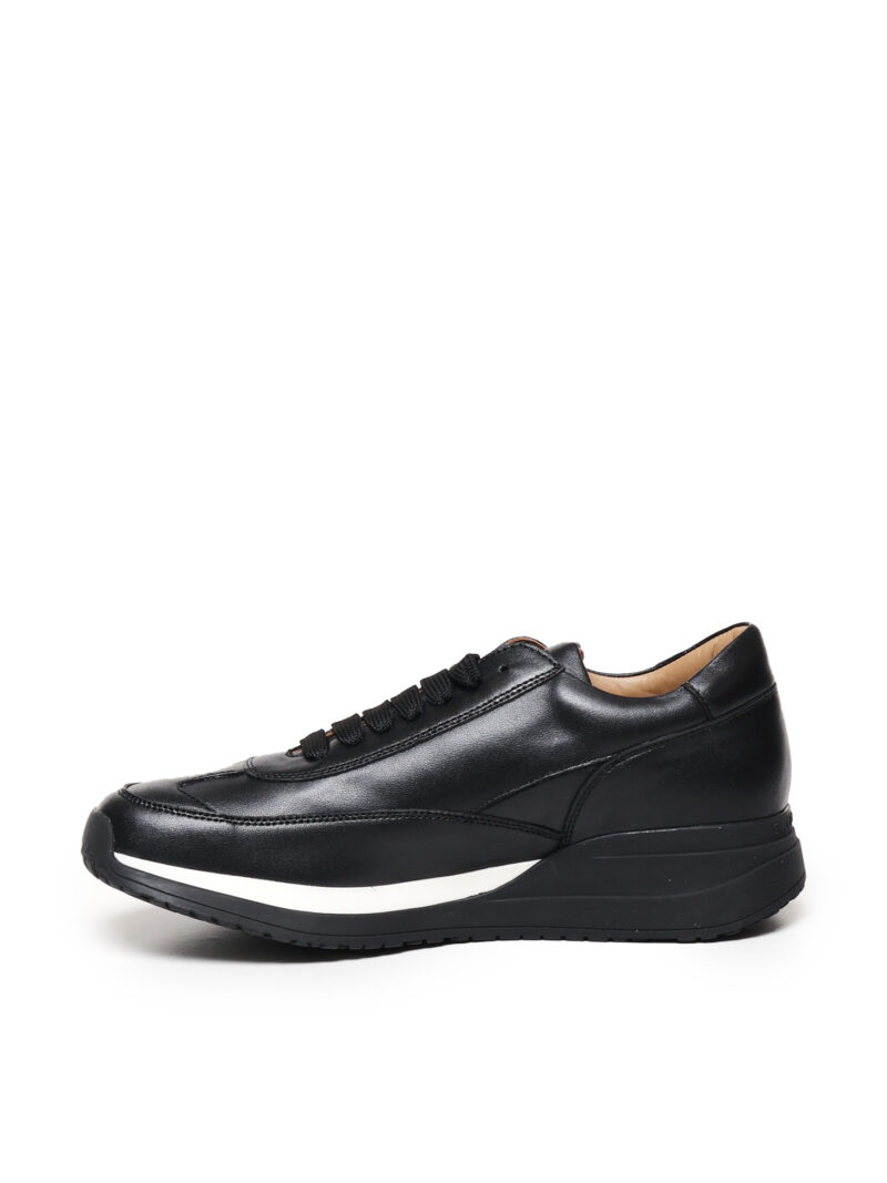 PACIOTTI - SCARPA DOLLARO